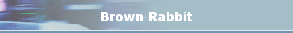 Brown Rabbit